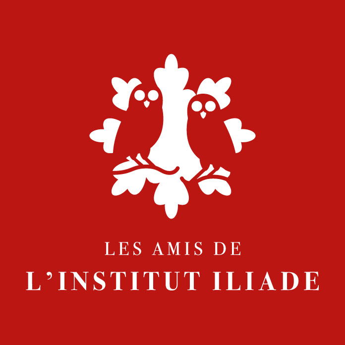 Association des amis de l'Institut Iliade logo